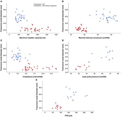 The correlation between the transverse rectal diameter and urodynamic findings in children with neurogenic bowel and bladder dysfunction